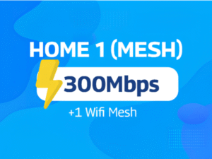HOME 1 (Mesh)