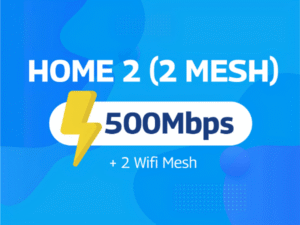 HOME 2 (2 Mesh)