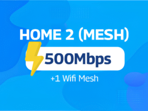 HOME 2 (Mesh)