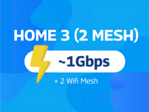 HOME 3 (2 Mesh)
