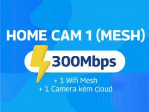 HOME CAM 1 (Mesh)