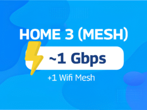 HOME 3 (Mesh)